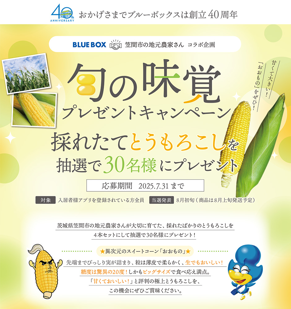 キャンペーン