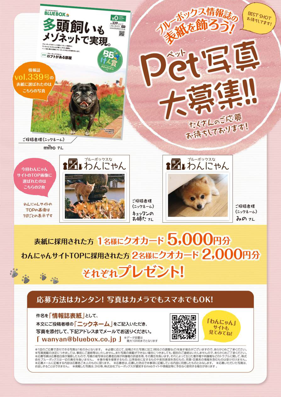 愛犬・愛猫写真を大募集