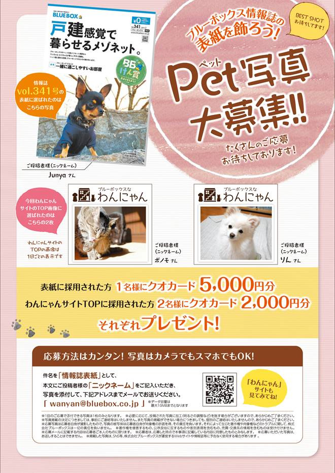 愛犬・愛猫写真を大募集