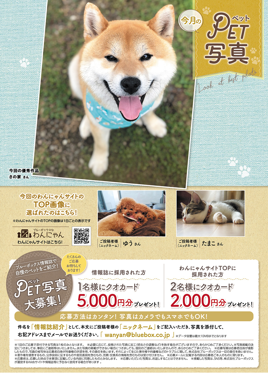 愛犬・愛猫写真を大募集