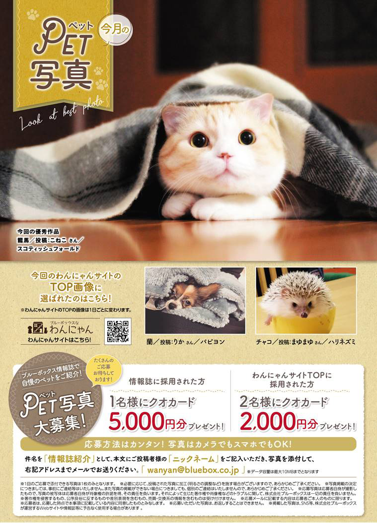 愛犬・愛猫写真を大募集