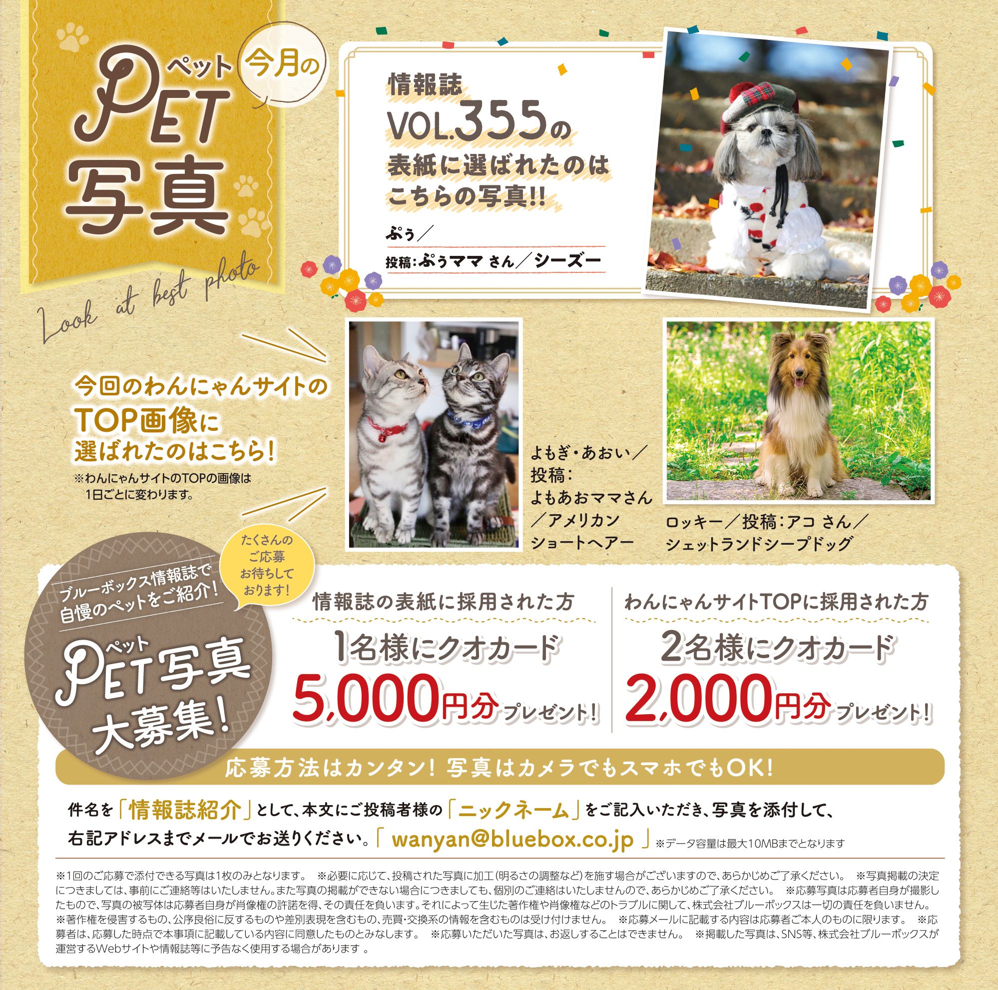 愛犬・愛猫写真を大募集